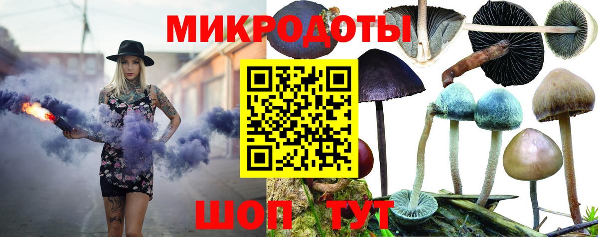 где купить   Галлюциногенные грибы Magic Shrooms  Вход с VPN  Баксан 