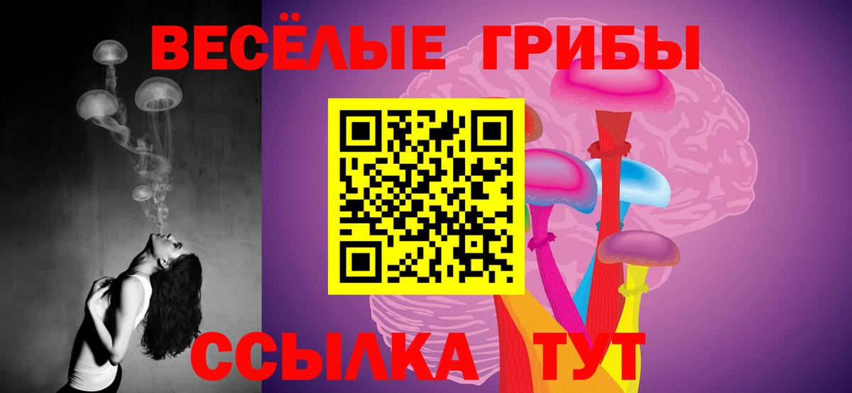 Псилоцибиновые грибы MAGIC MUSHROOMS Баксан